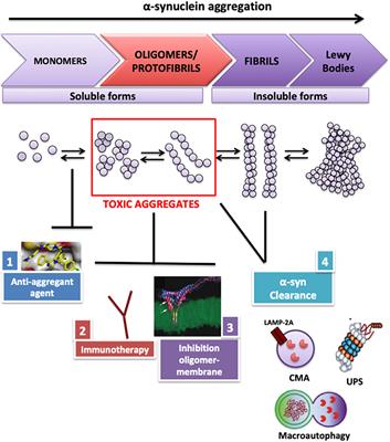 VPS35-Based Approach: A Potential Innovative Treatment in Parkinson's Disease